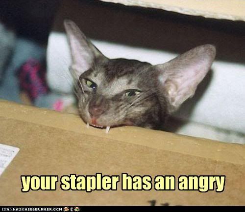 funny-pictures-your-stapler-has-an-angry.jpg