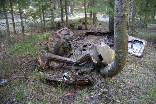 http://i1161.photobucket.com/albums/q506/harrstrom/Ghia_skogsvrak35.jpg