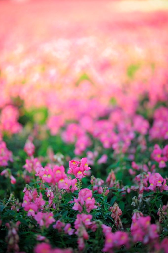 _D3S2415_zpsmgayk5aw.jpg