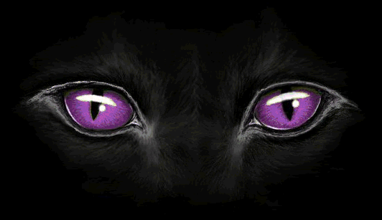 [Image: 306206dsap399uzr.gif]