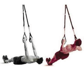 trx inverted row