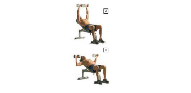 Incline Dumbbell Bench Press