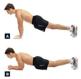 Standard Plank Workout standard plank