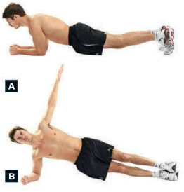 T Side Plank Workout t side plank