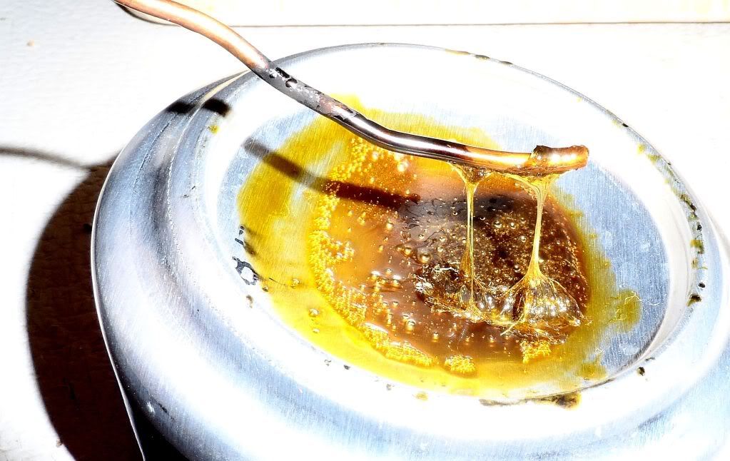 Hash Oil prices? Rollitup