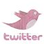  photo pink-twitter-icon.png