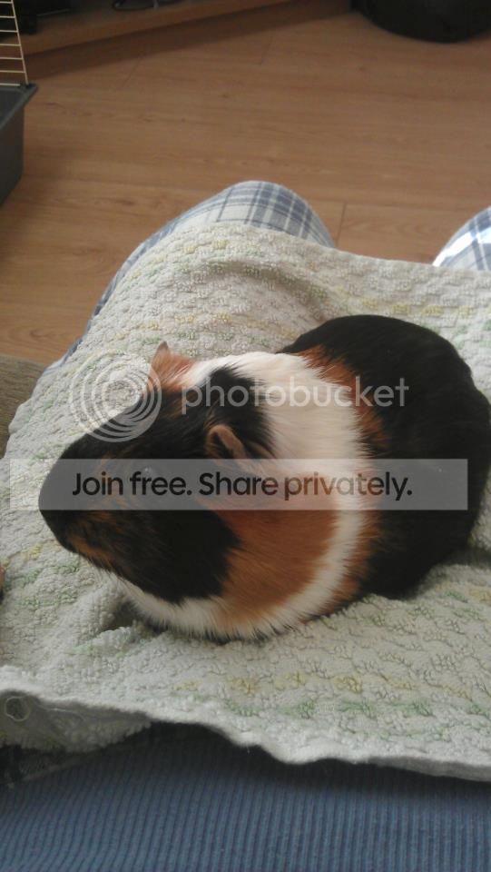smudge2.jpg