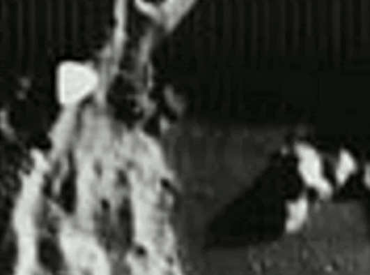 090617-moon-image-03GIF01_zps162f2604.gif